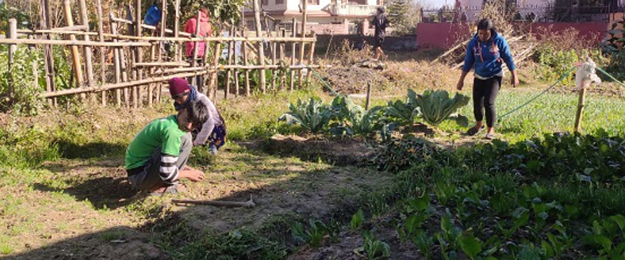 Gartenarbeit